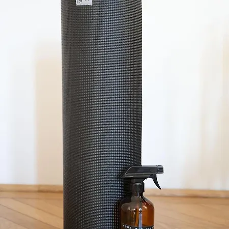 Classic Elegant With Beautiful Daylight Budapeszt