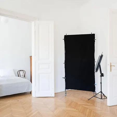 Classic Elegant With Beautiful Daylight Lejlighed Budapest